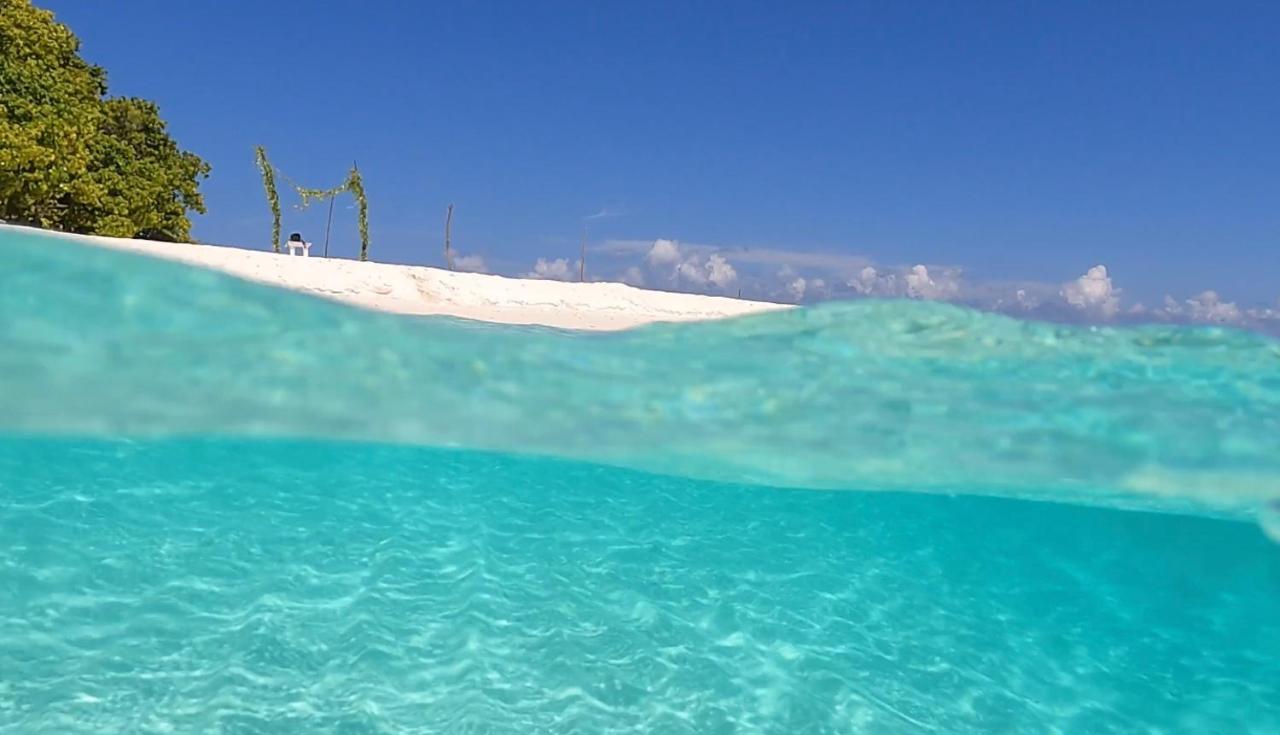 Shamar Guesthouse & Dive Maamigili Zewnętrze zdjęcie