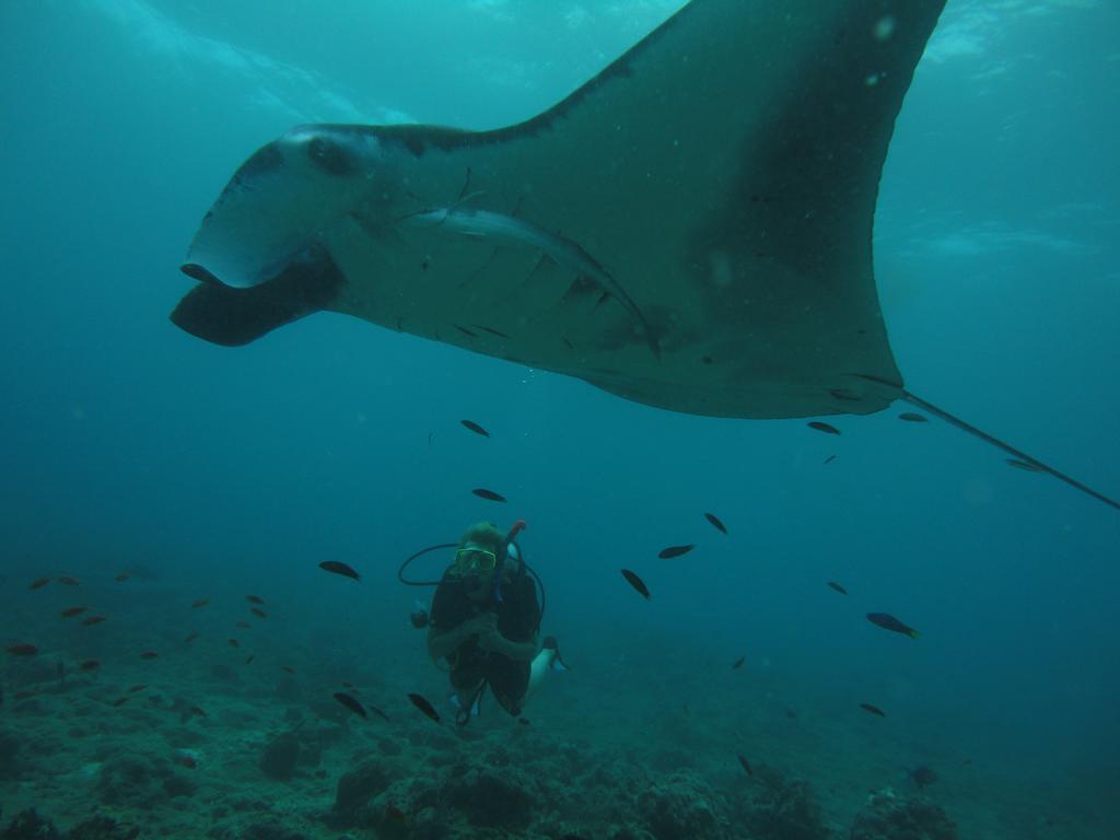 Shamar Guesthouse & Dive Maamigili Zewnętrze zdjęcie